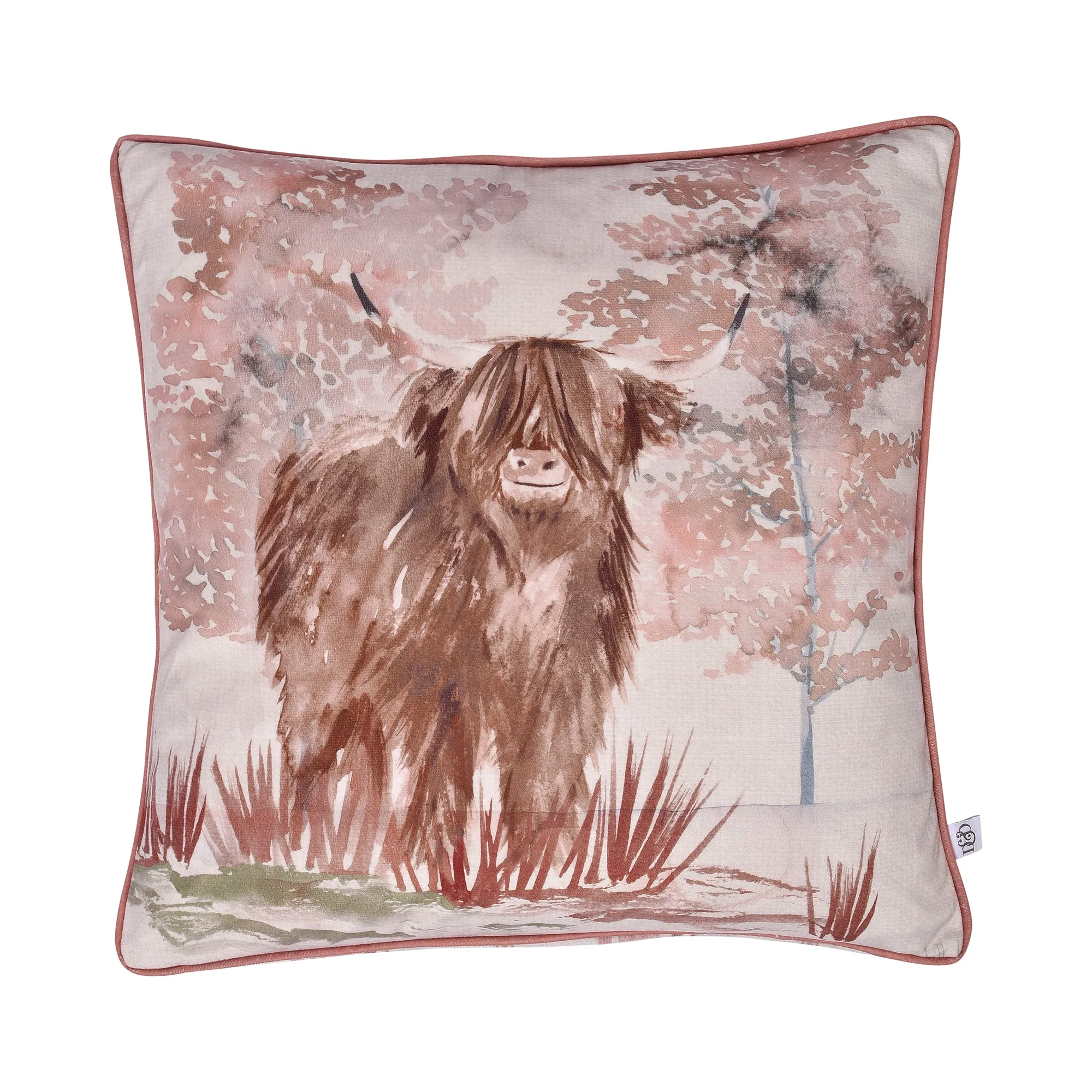 Hanson Highland Cow Cushion by Dreams & Drapes Lodge in Terracotta 43 x 43cm