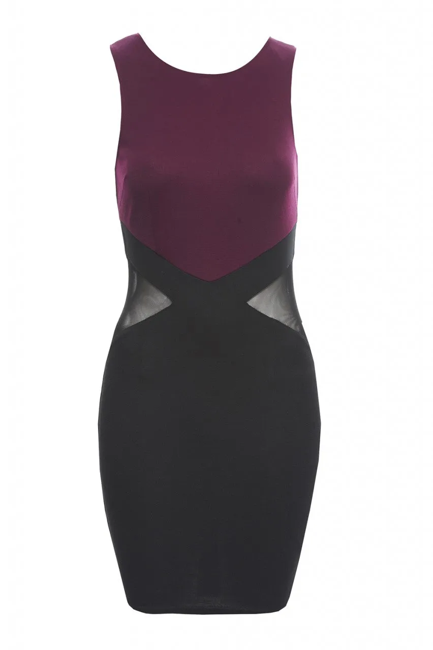 Mesh Insert Bodycon Dress